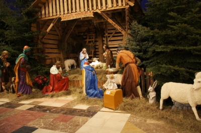 Licheń 2013