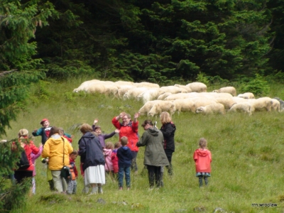 Tatry 2014