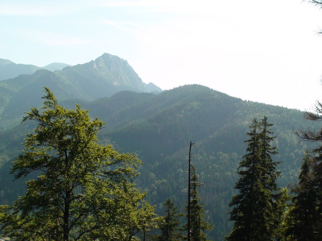 Rekolekcje letnie 2010