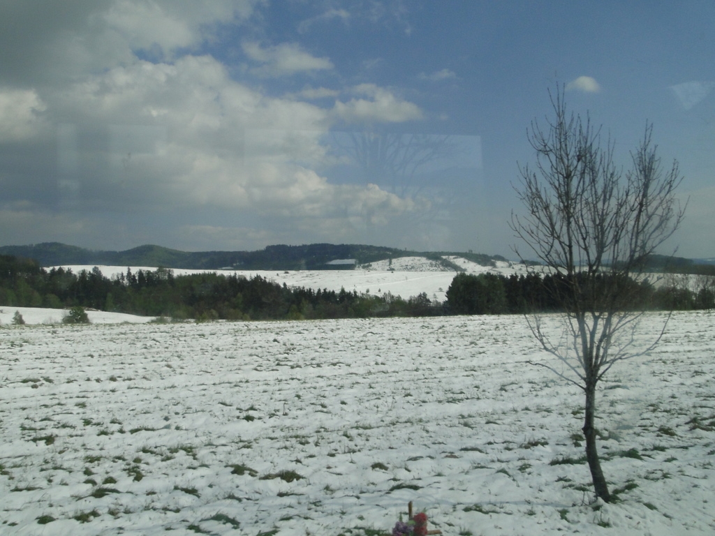 Beatyfikacja JP II